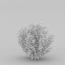AM204_017_wire