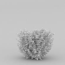 AM204_018_wire