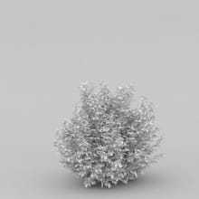 AM204_019_wire
