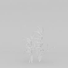 AM204_020_wire