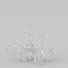AM204_021_wire