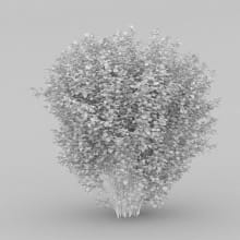 AM204_032_wire