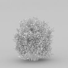 AM204_033_wire