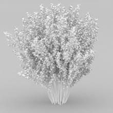 AM204_041_wire