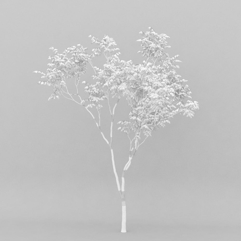 AM207_001_wire