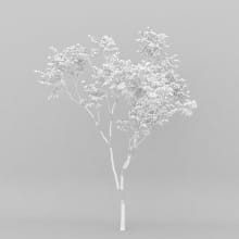 AM207_001_wire