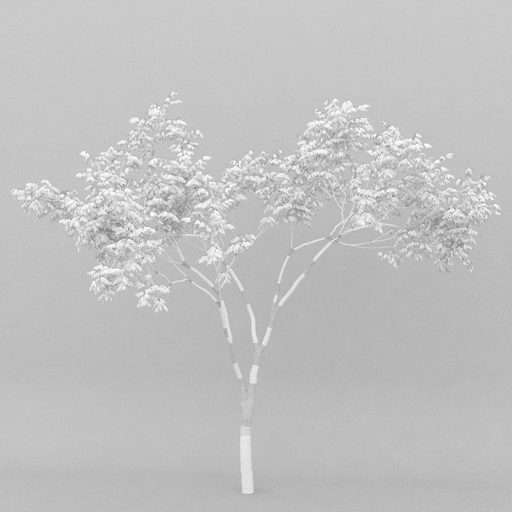 AM207_003_wire