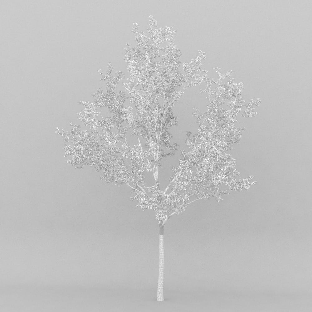 AM207_007_wire