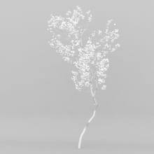 AM207_010_wire