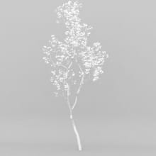 AM207_011_wire