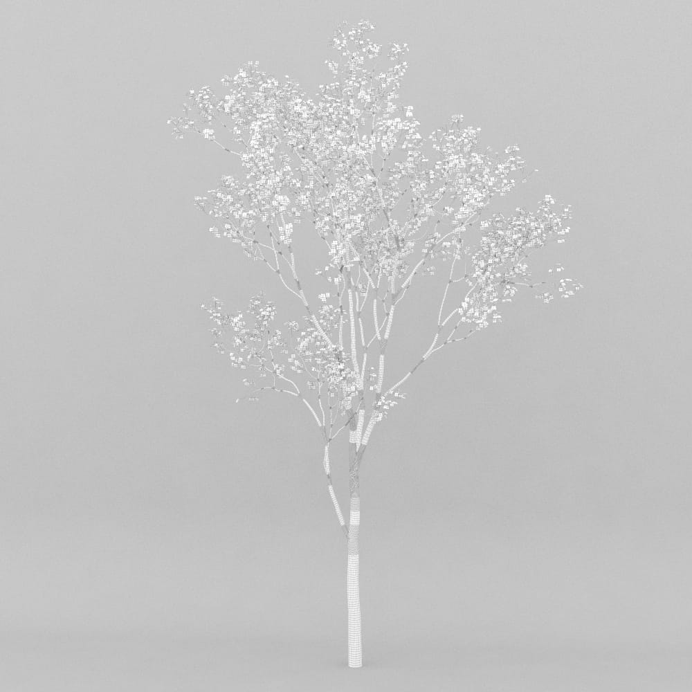 AM207_014_wire