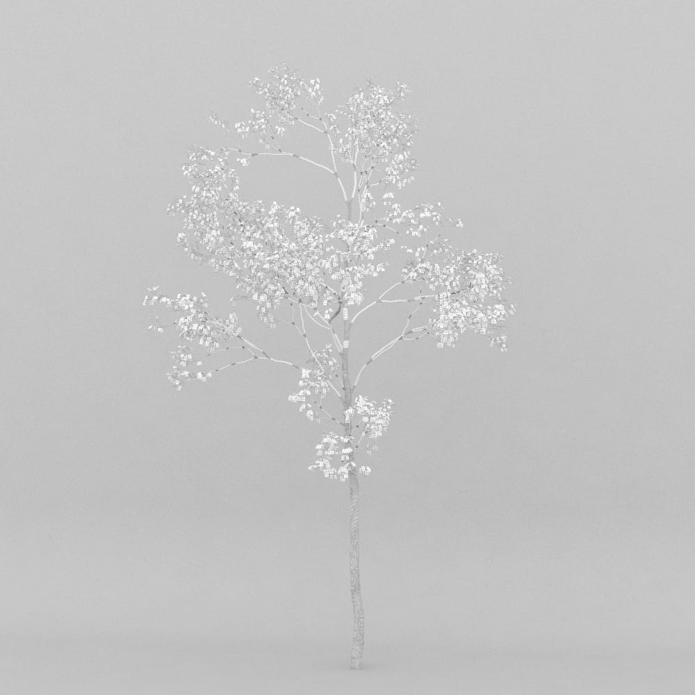 AM207_015_wire