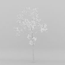 AM207_015_wire