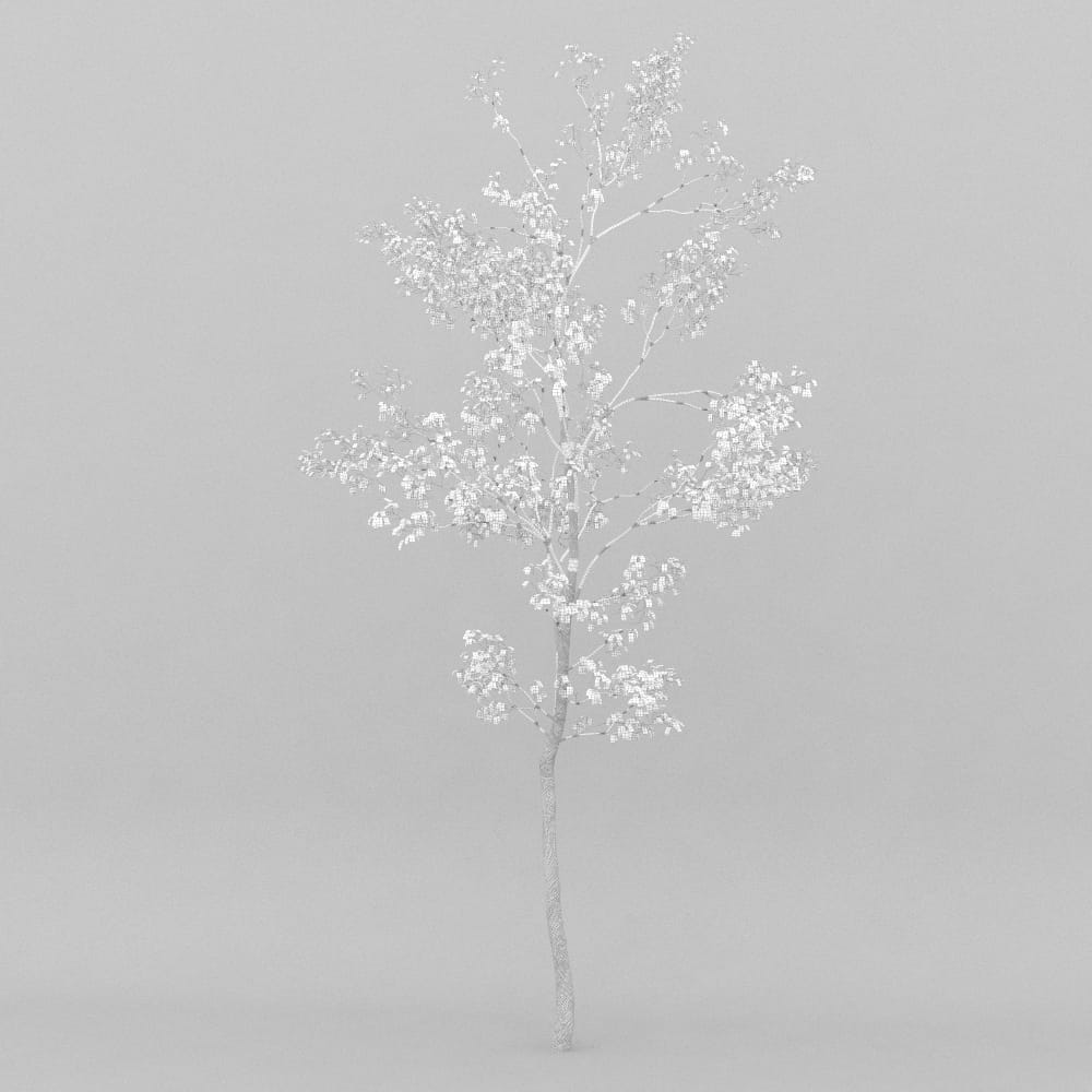 AM207_017_wire