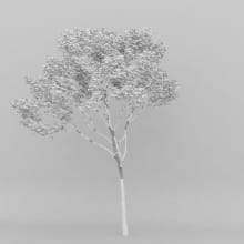 AM207_018_wire