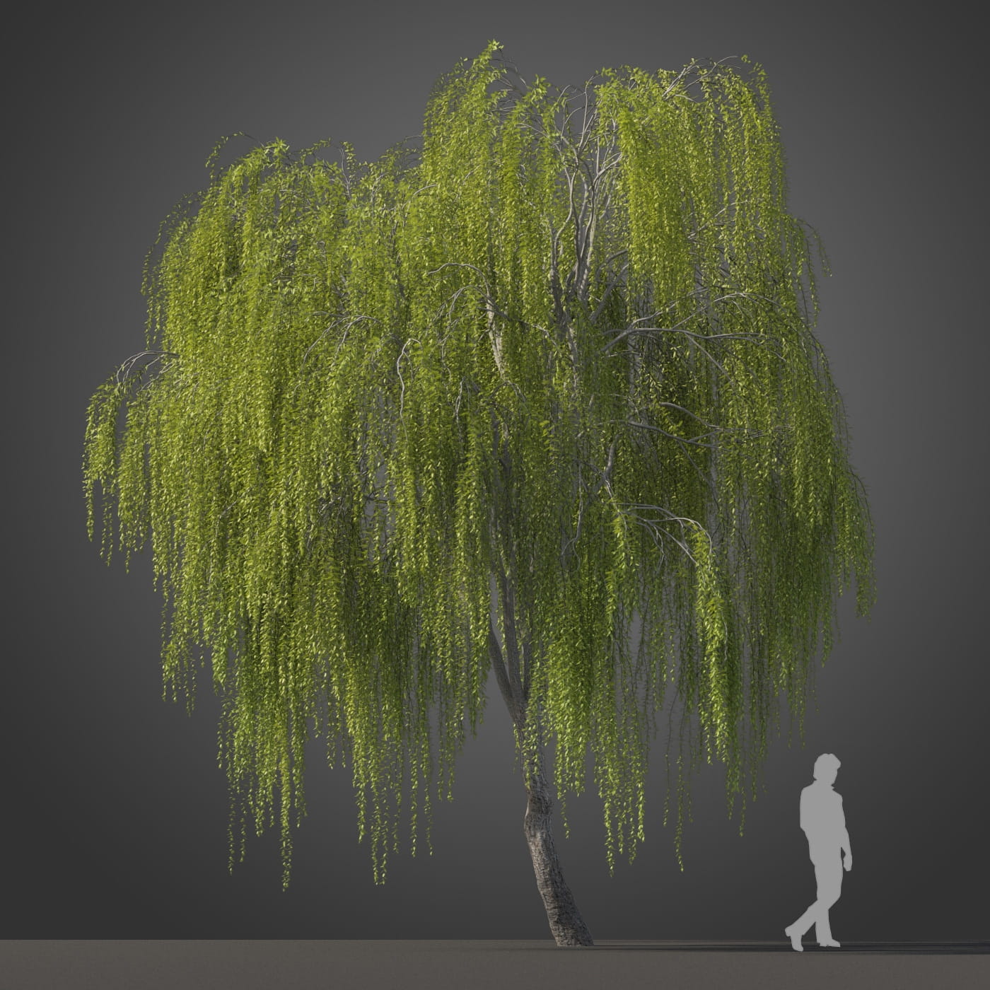Mystical Tree - 3D model by waywardart (@waywardart) [dd47592]