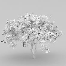 AM210_wire_001