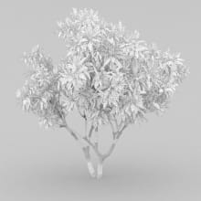 AM210_wire_002