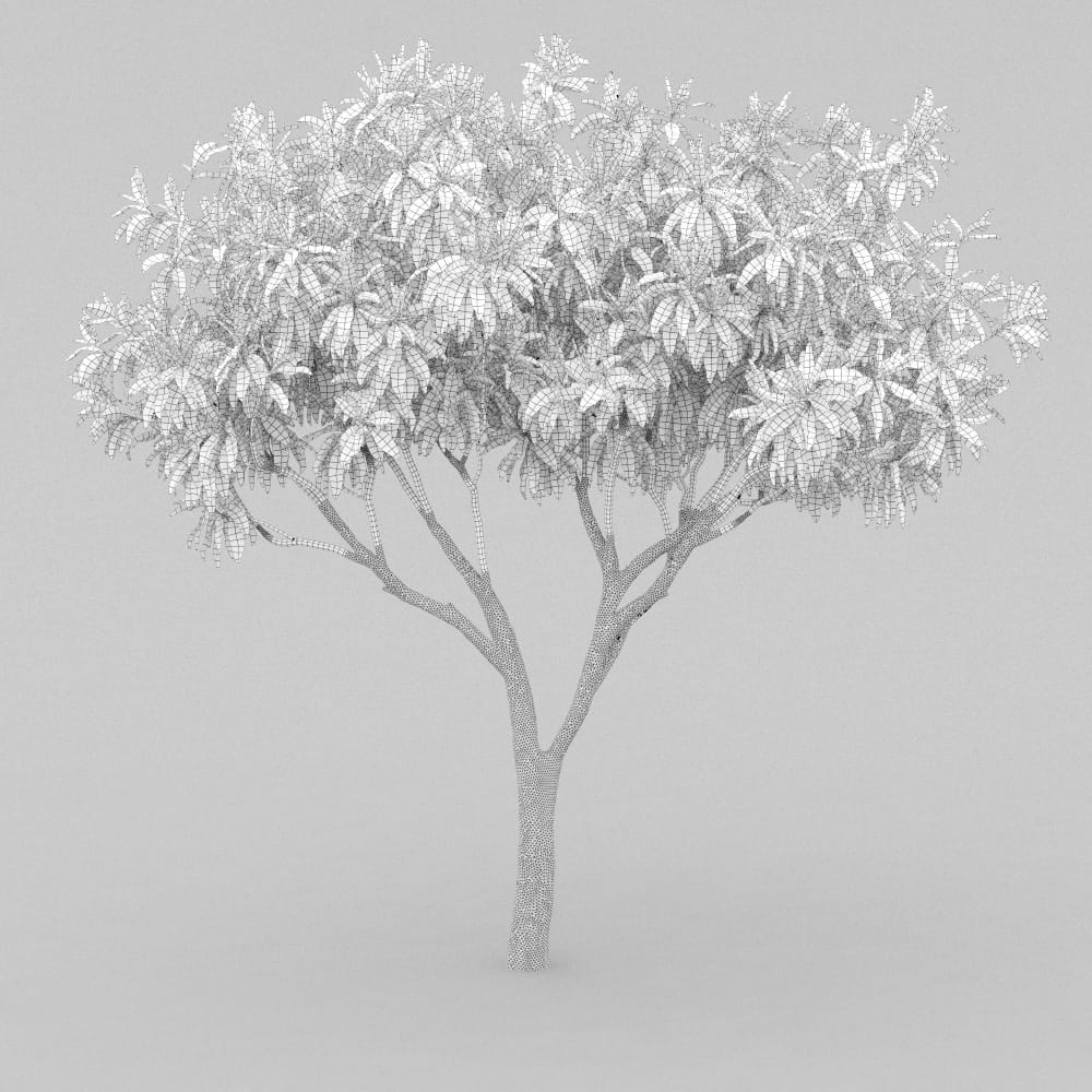 AM210_wire_003