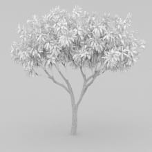 AM210_wire_003