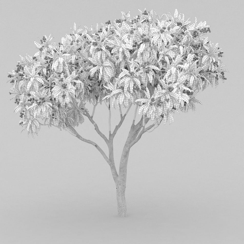 AM210_wire_004