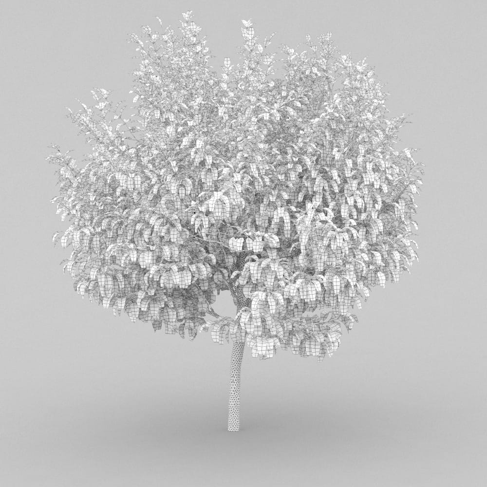 AM210_wire_005