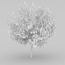 AM210_wire_005