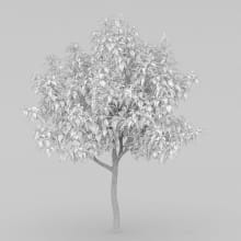 AM210_wire_006