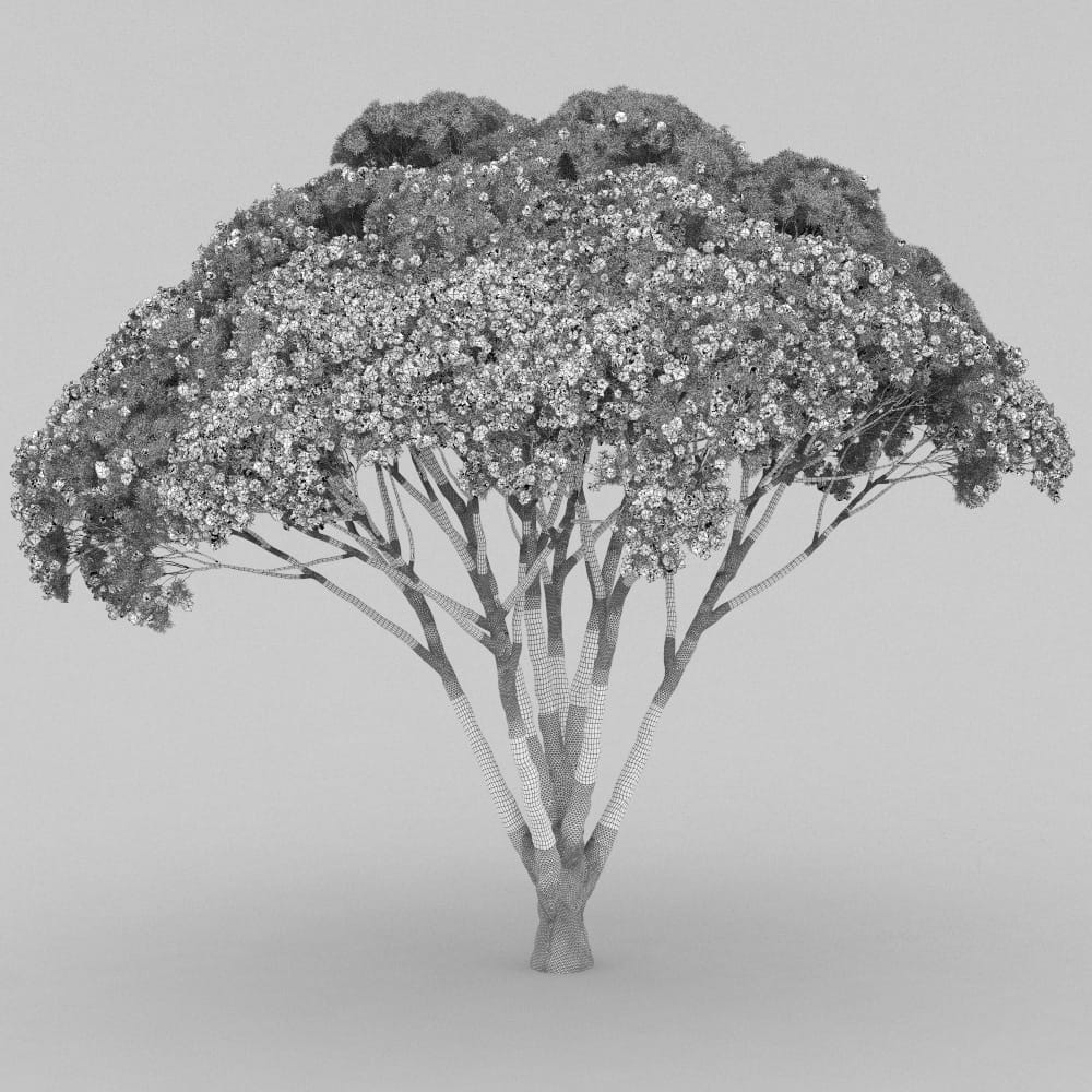 AM210_wire_008