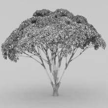 AM210_wire_008