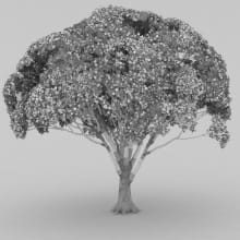 AM210_wire_009