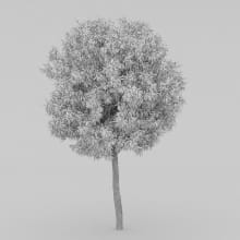 AM210_wire_011