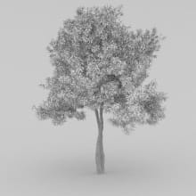 AM210_wire_012