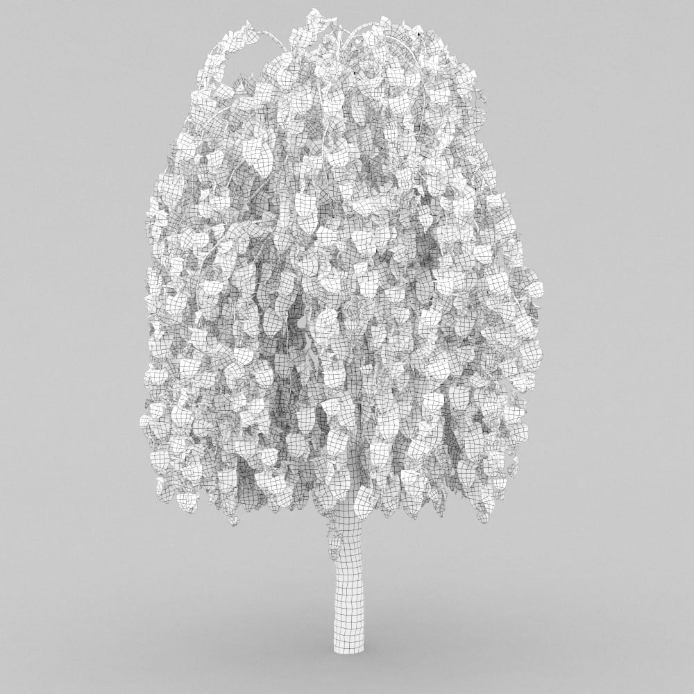 AM210_wire_014