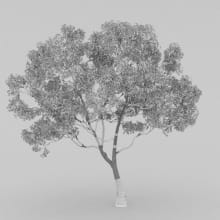 AM210_wire_017