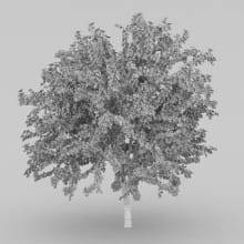 AM210_wire_023