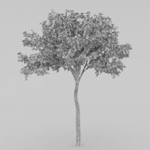 AM210_wire_024