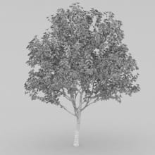 AM210_wire_025