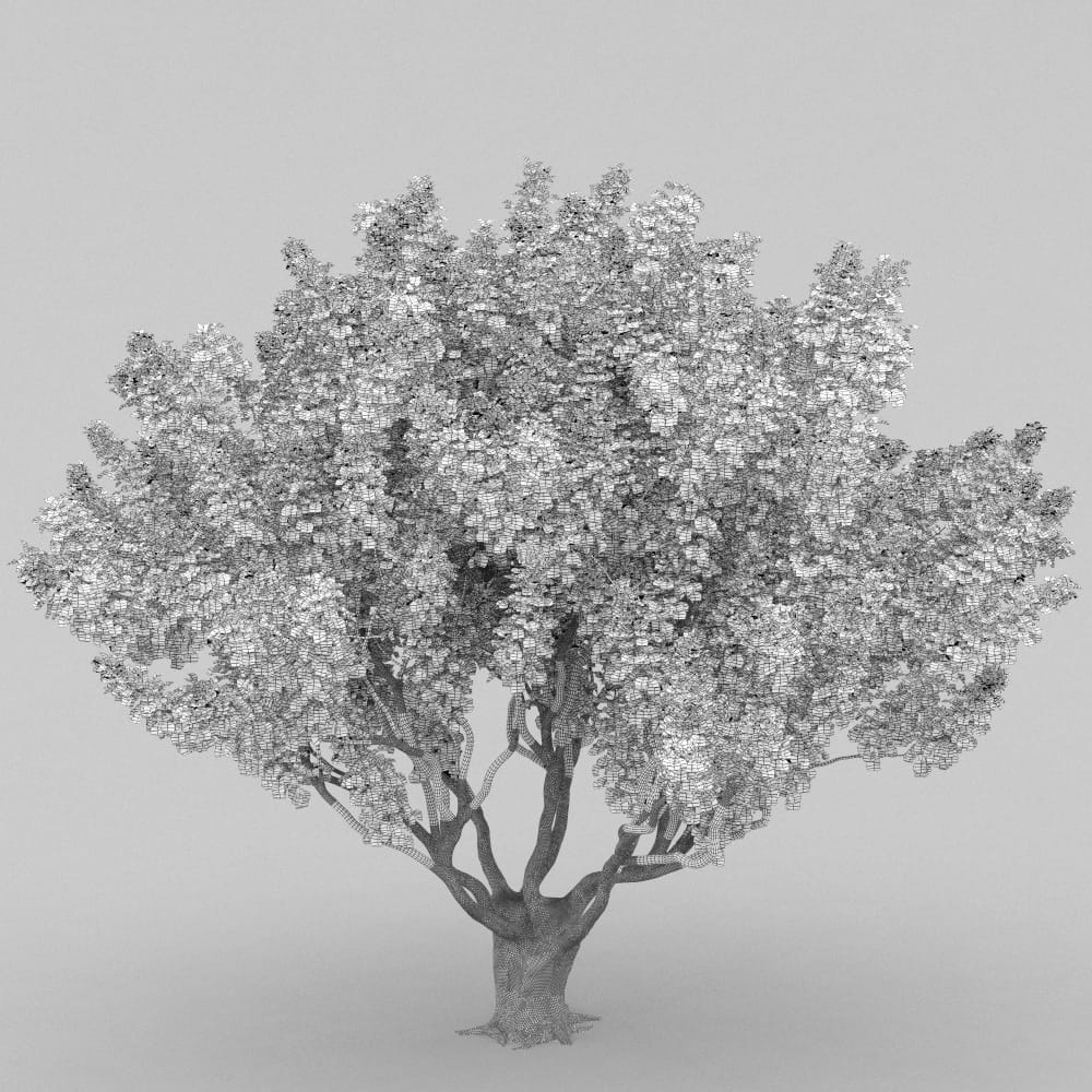 AM210_wire_026