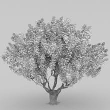 AM210_wire_026