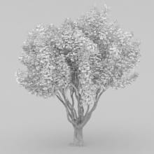 AM210_wire_027