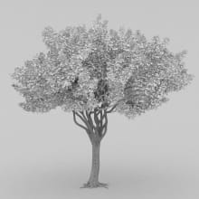AM210_wire_028