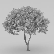AM210_wire_029
