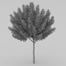AM210_wire_030