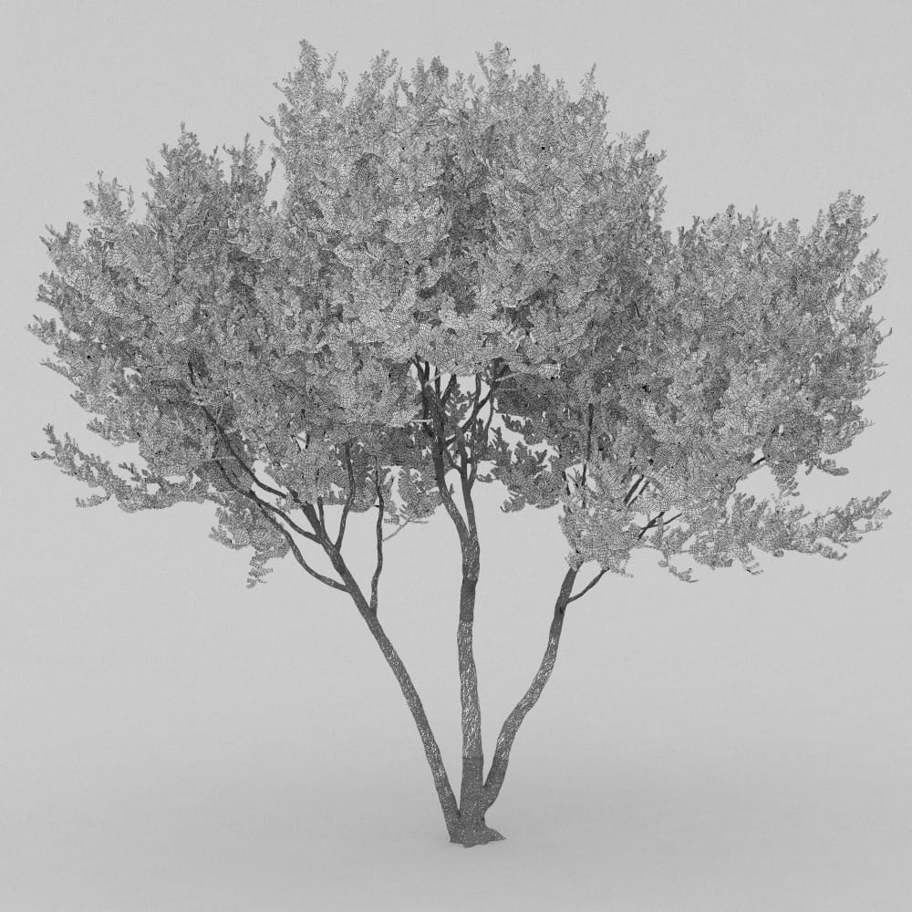 AM210_wire_031