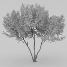 AM210_wire_031