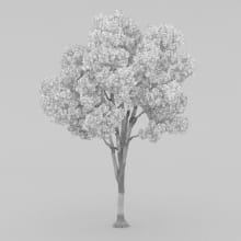 AM210_wire_033