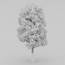 AM210_wire_034