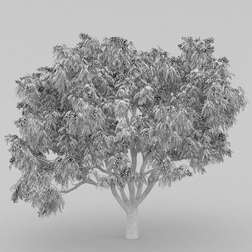 AM210_wire_036