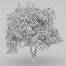 AM210_wire_037